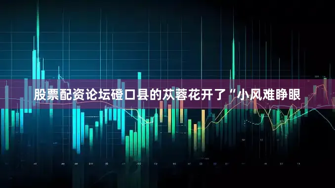 股票配资论坛磴口县的苁蓉花开了“小风难睁眼