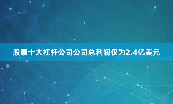 股票十大杠杆公司公司总利润仅为2.4亿美元