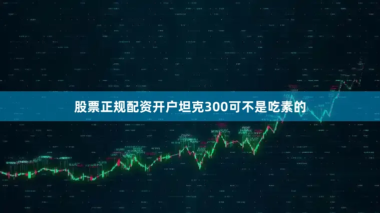 股票正规配资开户坦克300可不是吃素的
