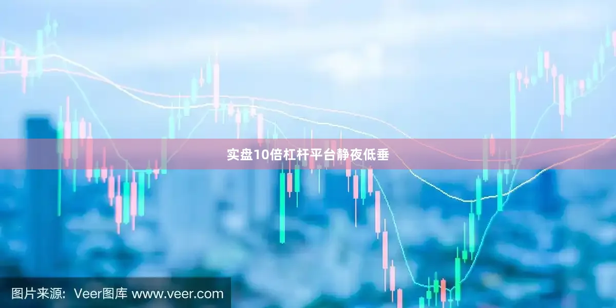 实盘10倍杠杆平台静夜低垂