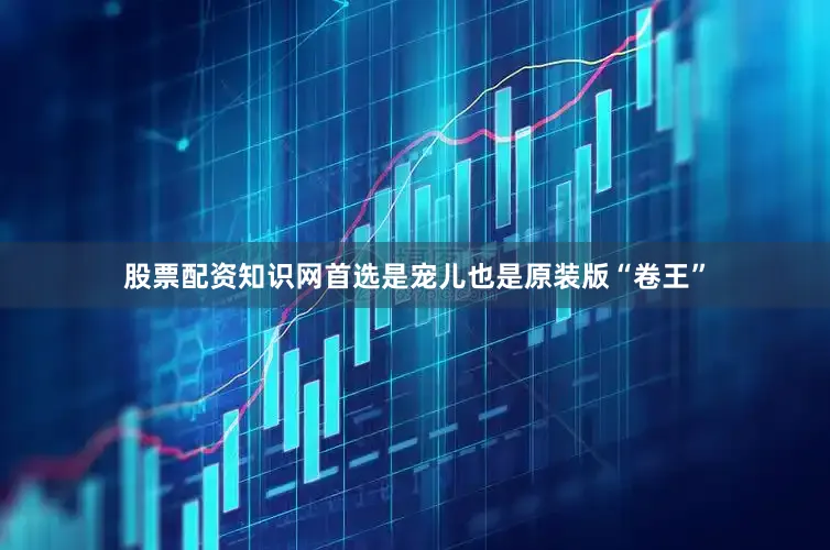 股票配资知识网首选是宠儿也是原装版“卷王”