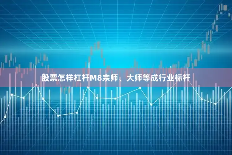 股票怎样杠杆M8宗师、大师等成行业标杆
