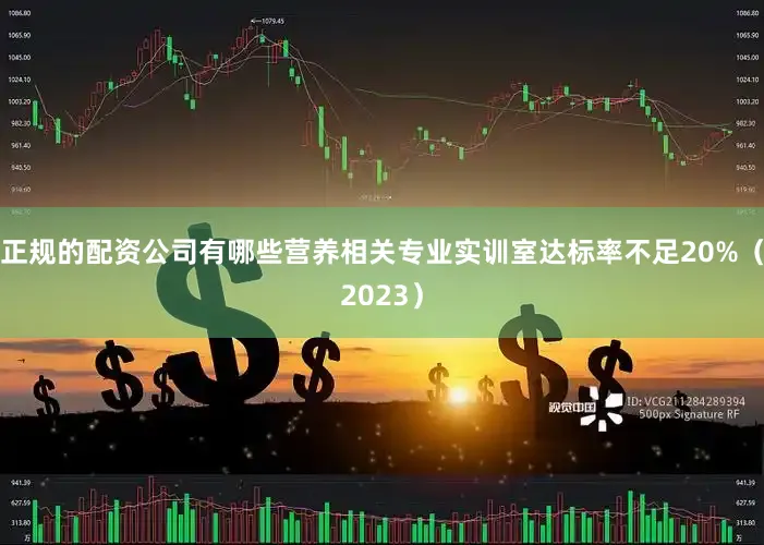 正规的配资公司有哪些营养相关专业实训室达标率不足20%（2023）
