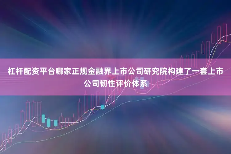 杠杆配资平台哪家正规金融界上市公司研究院构建了一套上市公司韧性评价体系