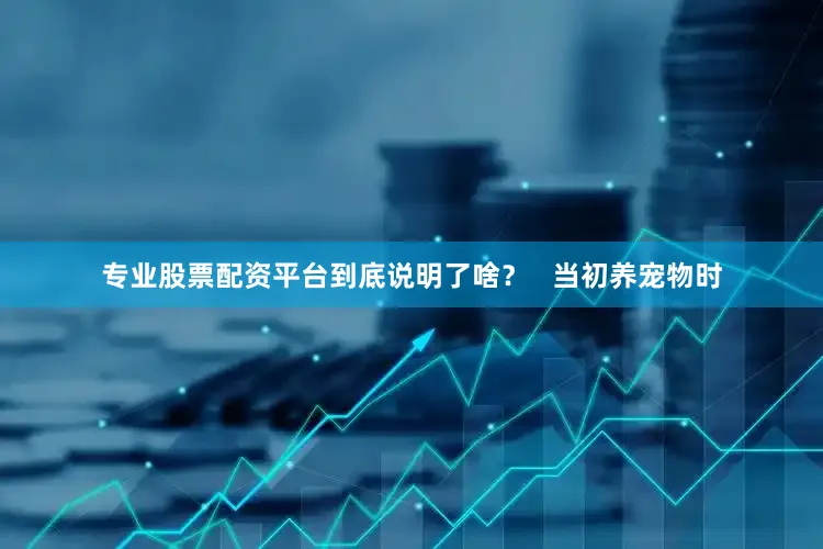 专业股票配资平台到底说明了啥？   当初养宠物时