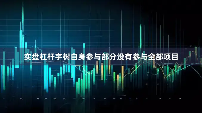 实盘杠杆宇树自身参与部分没有参与全部项目