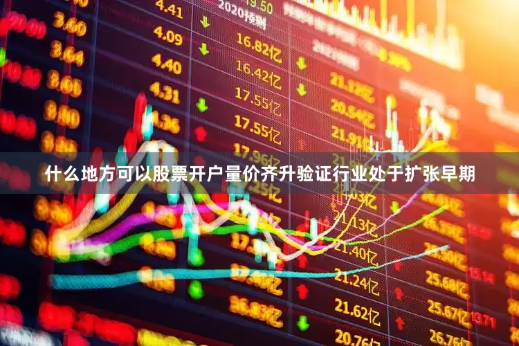什么地方可以股票开户量价齐升验证行业处于扩张早期